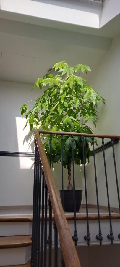 Les Suites Angevines อองเชร์ ภายนอก รูปภาพ